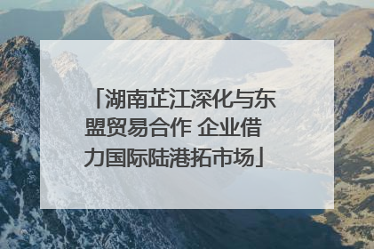 湖南芷江深化与东盟贸易合作 企业借力国际陆港拓市场