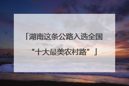 湖南这条公路入选全国“十大最美农村路”