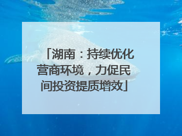 湖南：持续优化营商环境，力促民间投资提质增效