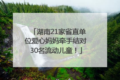湖南21家省直单位爱心妈妈牵手结对30名流动儿童！