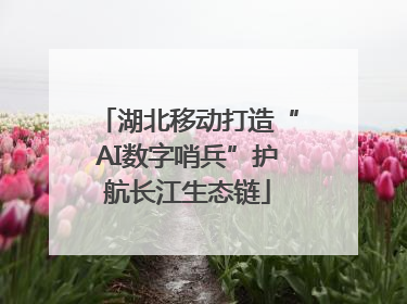 湖北移动打造“AI数字哨兵”护航长江生态链