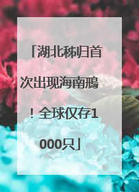 湖北秭归首次出现海南鳽！全球仅存1000只