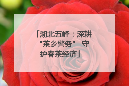 湖北五峰：深耕“茶乡警务” 守护春茶经济