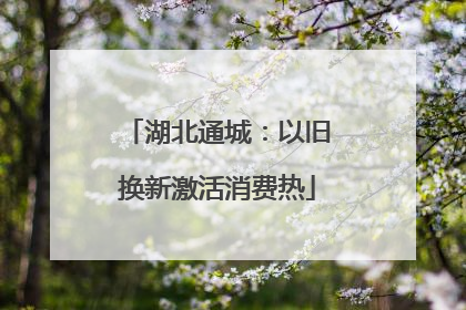 湖北通城：以旧换新激活消费热