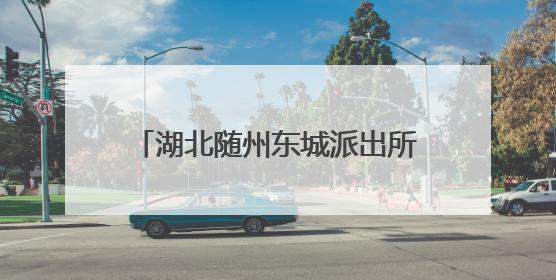 湖北随州东城派出所开展禁毒宣传活动
