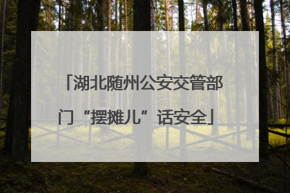 湖北随州公安交管部门“摆摊儿”话安全