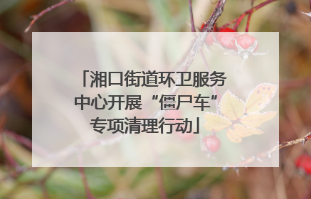 湘口街道环卫服务中心开展“僵尸车”专项清理行动
