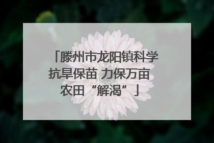 滕州市龙阳镇科学抗旱保苗 力保万亩农田“解渴”