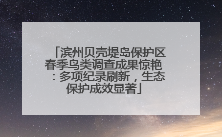 滨州贝壳堤岛保护区春季鸟类调查成果惊艳：多项纪录刷新，生态保护成效显著