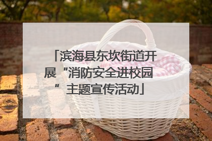 滨海县东坎街道开展“消防安全进校园”主题宣传活动
