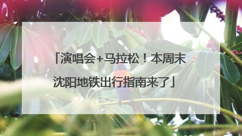 演唱会+马拉松！本周末沈阳地铁出行指南来了