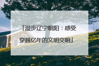漫步辽宁朝阳：感受穿越亿年的文明交响