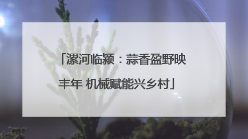 漯河临颍：蒜香盈野映丰年 机械赋能兴乡村