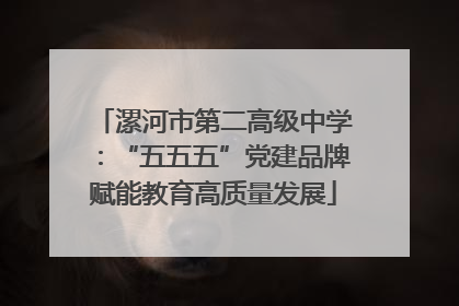 漯河市第二高级中学：“五五五”党建品牌赋能教育高质量发展
