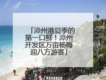漳州港夏季的第一口鲜！漳州开发区万亩杨梅迎八方游客