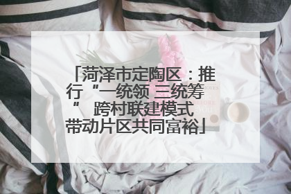 菏泽市定陶区：推行“一统领 三统筹” 跨村联建模式 带动片区共同富裕