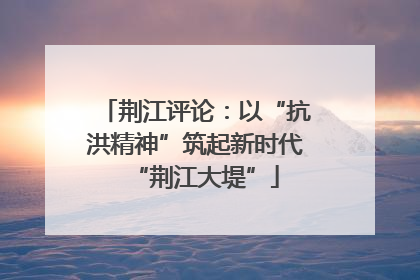 荆江评论：以“抗洪精神”筑起新时代“荆江大堤”