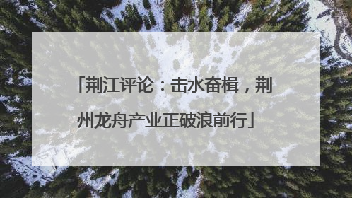 荆江评论：击水奋楫，荆州龙舟产业正破浪前行