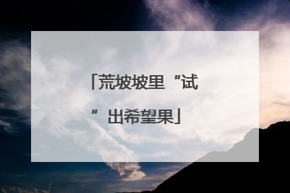 荒坡坡里“试”出希望果