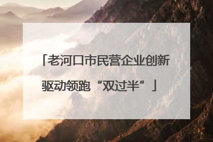 老河口市民营企业创新驱动领跑“双过半”