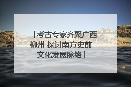 考古专家齐聚广西柳州 探讨南方史前文化发展脉络