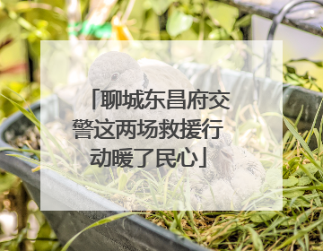 聊城东昌府交警这两场救援行动暖了民心