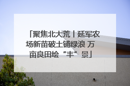 聚焦北大荒丨延军农场新苗破土铺绿浪 万亩良田绘“丰”景