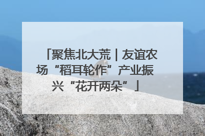 聚焦北大荒｜友谊农场“稻耳轮作”产业振兴“花开两朵”