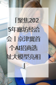 聚焦2025年廊坊经洽会丨京津冀首个AI招商选址大模型亮相