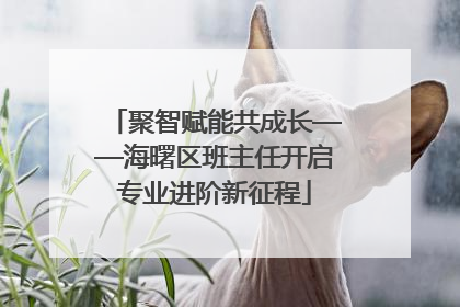 聚智赋能共成长——海曙区班主任开启专业进阶新征程