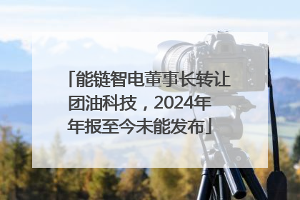 能链智电董事长转让团油科技，2024年年报至今未能发布