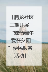 腾龙社区二期开展 “粽情端午 爱在夕阳”便民服务活动
