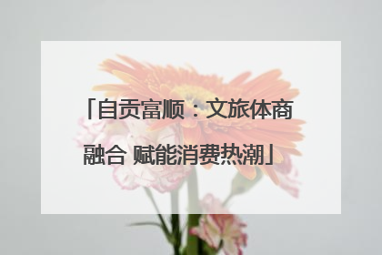自贡富顺：文旅体商融合 赋能消费热潮