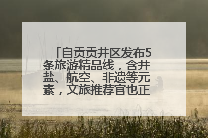 自贡贡井区发布5条旅游精品线，含井盐、航空、非遗等元素，文旅推荐官也正在报名选拔中