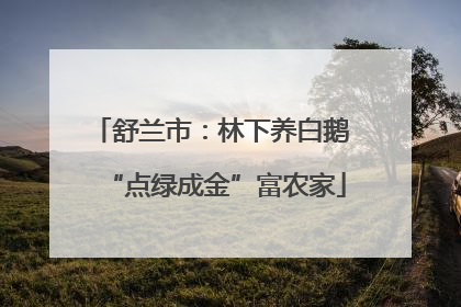 舒兰市：林下养白鹅 “点绿成金”富农家