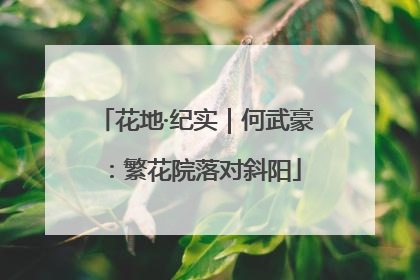 花地·纪实｜何武豪：繁花院落对斜阳