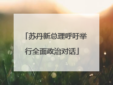 苏丹新总理呼吁举行全面政治对话