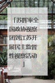 苏辉率全国政协视察团到江苏开展民主监督性视察活动