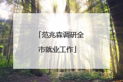 范兆森调研全市就业工作