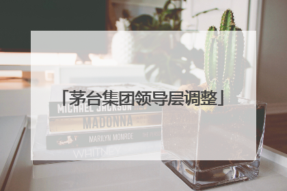 茅台集团领导层调整