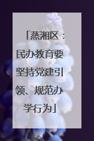 蒸湘区：民办教育要坚持党建引领、规范办学行为
