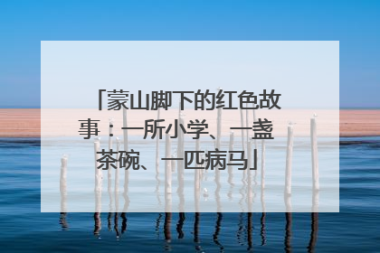 蒙山脚下的红色故事：一所小学、一盏茶碗、一匹病马