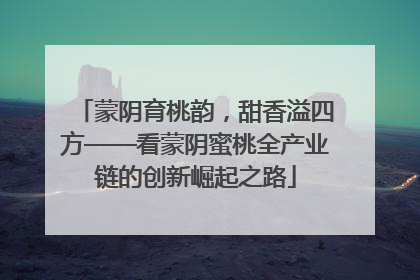 蒙阴育桃韵，甜香溢四方——看蒙阴蜜桃全产业链的创新崛起之路