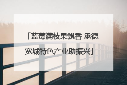 蓝莓满枝果飘香 承德宽城特色产业助振兴
