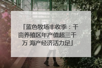 蓝色牧场丰收季：千亩养殖区年产值超三千万 海产经济活力足