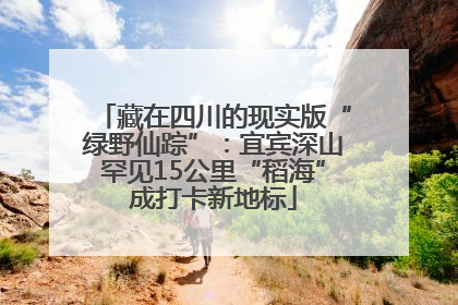 藏在四川的现实版“绿野仙踪”：宜宾深山罕见15公里“稻海”成打卡新地标