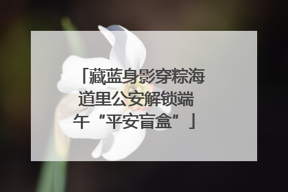 藏蓝身影穿粽海 道里公安解锁端午“平安盲盒”