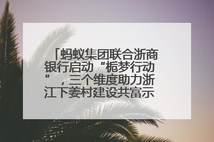 蚂蚁集团联合浙商银行启动“栀梦行动”，三个维度助力浙江下姜村建设共富示范区示范点