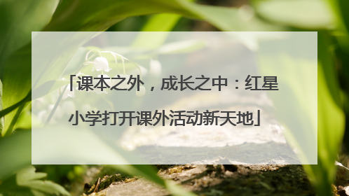 课本之外，成长之中：红星小学打开课外活动新天地