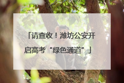 请查收！潍坊公安开启高考“绿色通道”